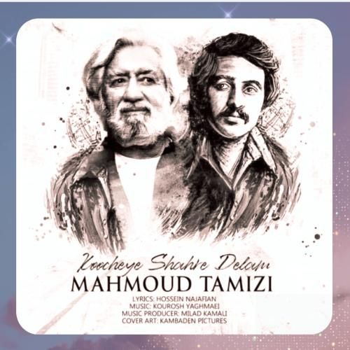 محمود تمیزی کوچه شهر دلم