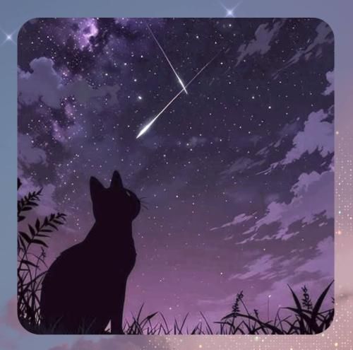 دانلود آهنگ دست دست نکن ای مرده شور