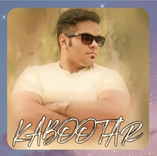 دانلود آهنگ کبوتر از مهدی شریفی