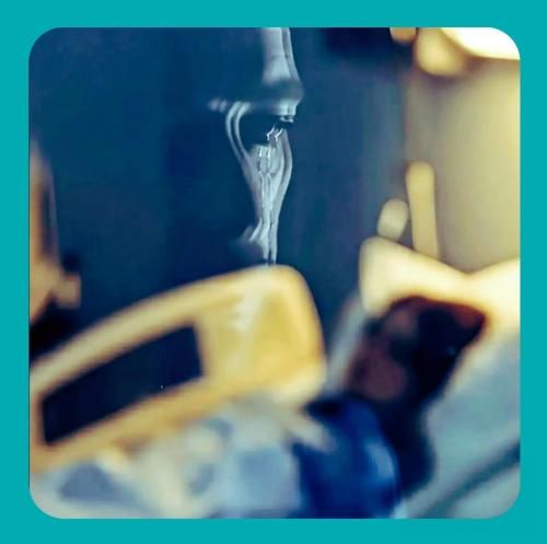  بانو من عاشقتم پروانه میشم واسه ی شمع