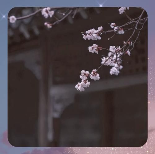 دانلود آهنگ یک دو میکنم امتحان تا سبک میشم و میدم