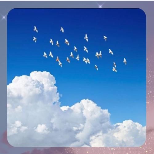 دانلود آهنگ خون ارغوانها از فریبرز سلیمی