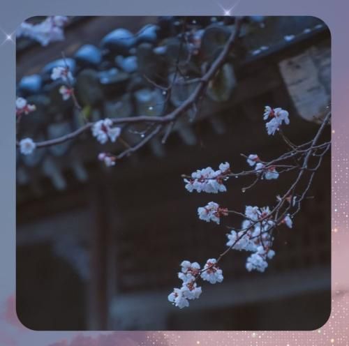 دانلود آهنگ مثل برد بود باختن قلبم به تو